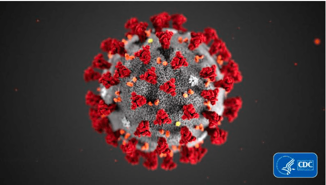 Read more about the article The Coronavirus (COVID-19)
